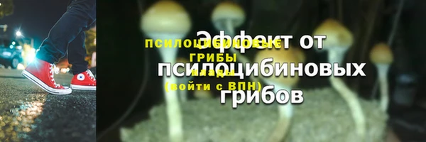 мескалин Богородск