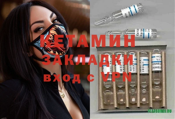 прущие грибы Бородино