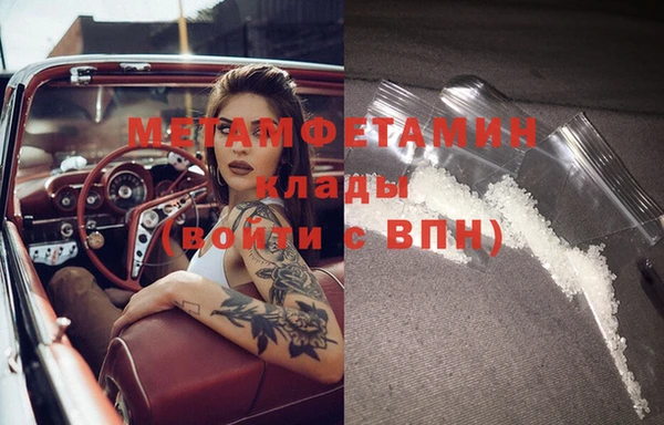 прущие грибы Бородино